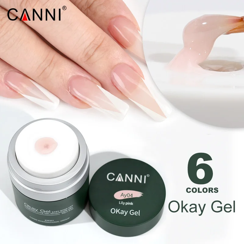 30g CANNI Air Pump Extension G - Uv Lamp Nail Resin 评论和价格