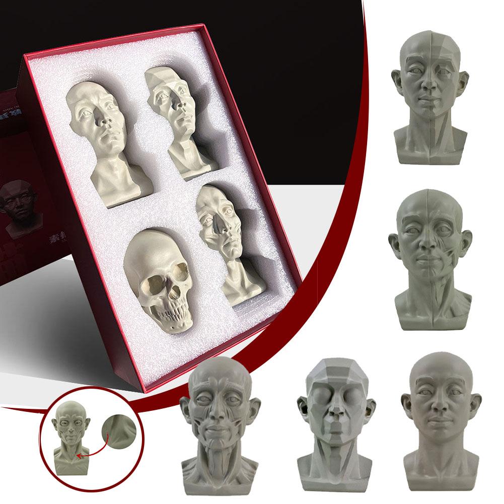 Art Plaster Portrait Teaching  - Resin Art Learning 评论和价格